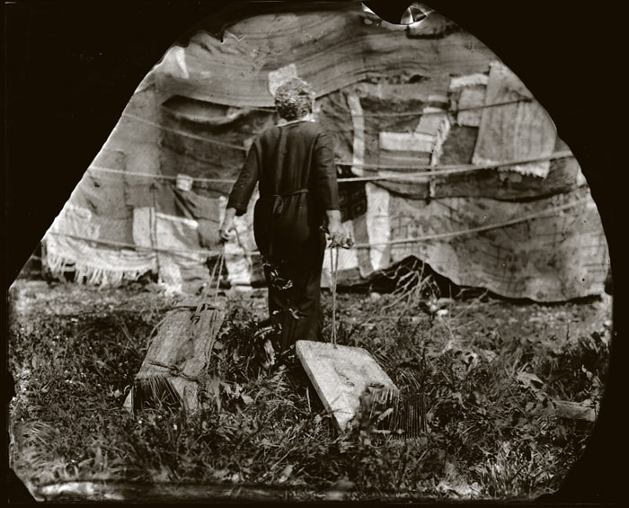 Noelle  - "refugios" 2022